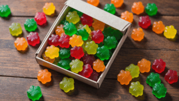 découvrez le lancement des nouvelles gommes au thc par éditions delta-9 en 2025. explorez les bienfaits de ces innovantes gommes hybrides au cbd, idéales pour améliorer votre sommeil et profiter d'une expérience relaxante unique.