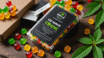 découvrez tout ce qu'il faut savoir sur les gommes de cbd avec thc : leur légalité en france, les avis d'utilisateurs et des témoignages réels. informez-vous sur les effets, les bienfaits et les précautions d'utilisation afin de faire le meilleur choix pour votre bien-être.