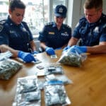 à wollongong, la police découvre du cannabis et de l’héroïne dans un logement du centre-ville lié à un trafic de drogue.